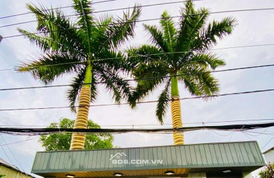 Bán gấp nhà phố vườn mini view sông oto vào nhà giá bèo nhất khu vực